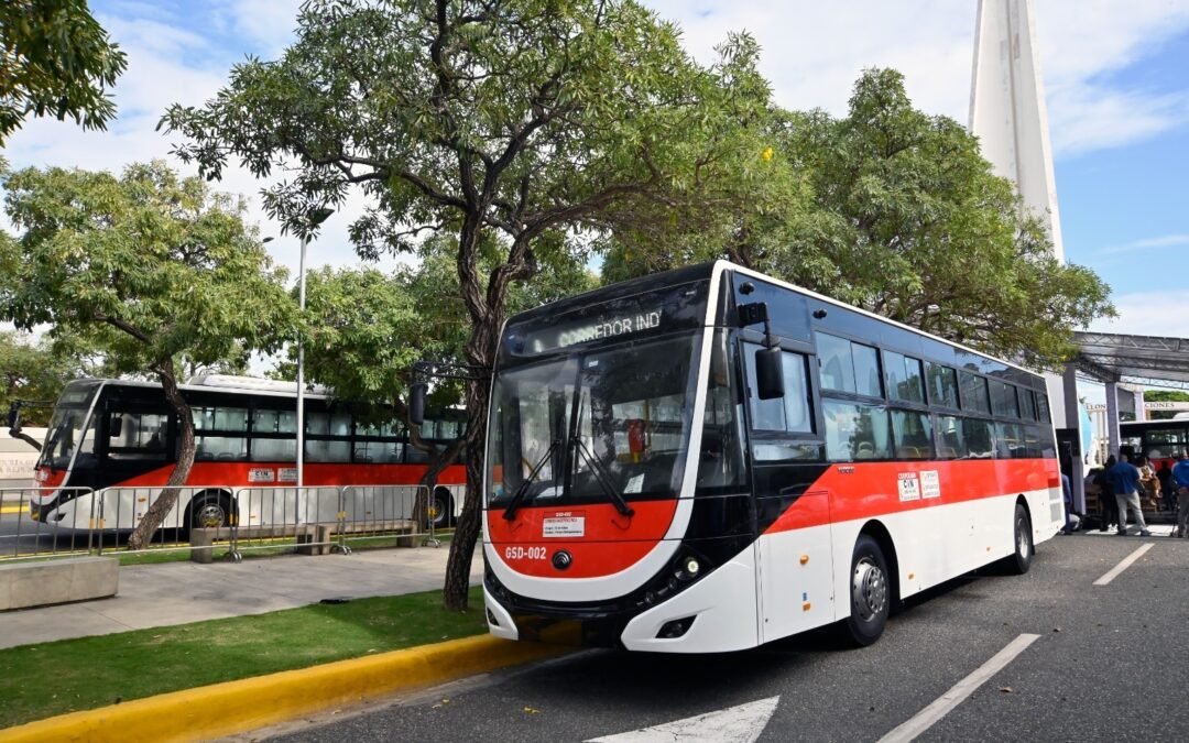 Nuevo corredor de la Avenida Independencia, entre luces y sombras